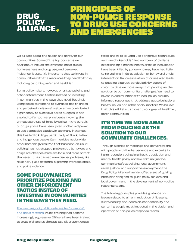Cover page with title of resource in light green on a dark green header. 